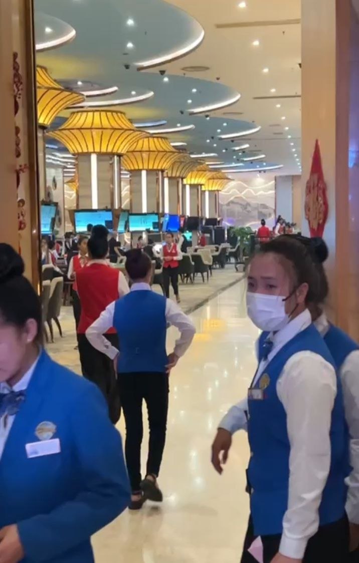 华纳公司客服团队工作场景